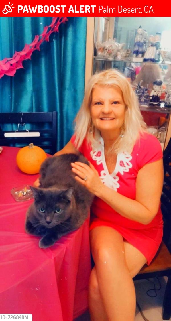 Lost Male Cat last seen abronia trail, Palm Desert, CA 92260