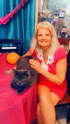Lost Male Cat last seen abronia trail, Palm Desert, CA 92260