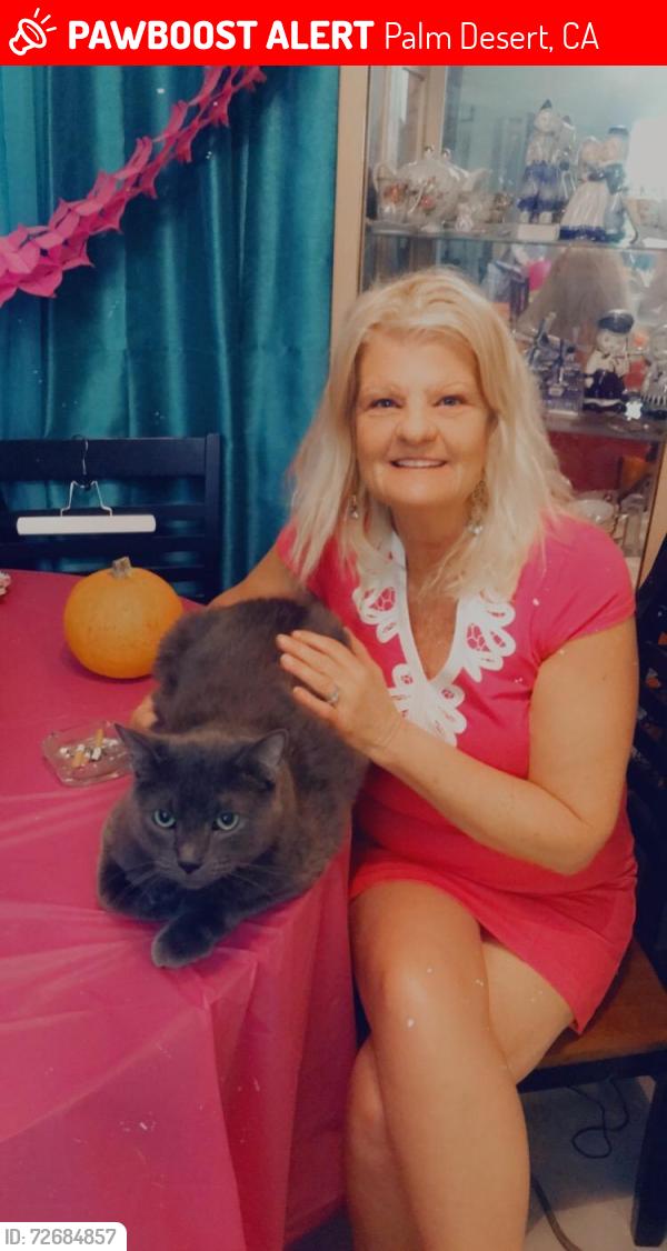 Lost Male Cat last seen abronia trail, Palm Desert, CA 92260