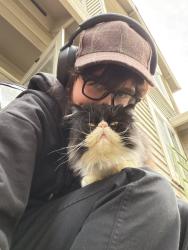 Lost Male Cat last seen Near nw 160th ave , Beaverton, OR 97006