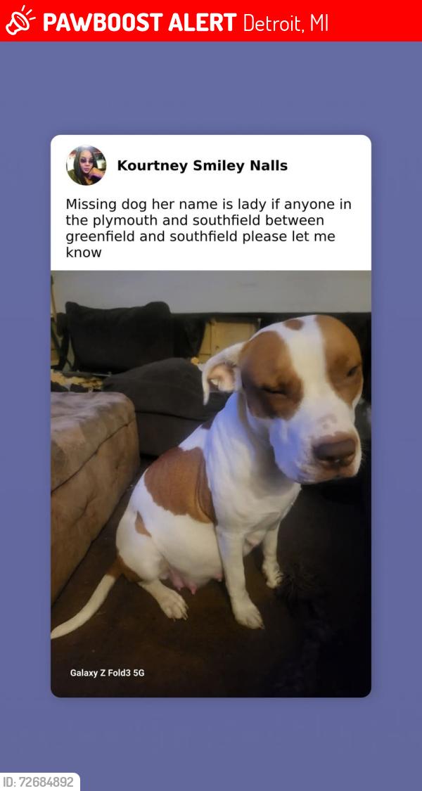 Lost Female Dog last seen Southfield and plymouth , Detroit, MI 48227