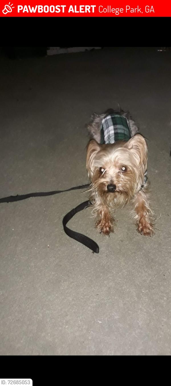 Lost Male Dog last seen John Calvin Ave, College Park, GA 30337