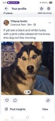 Lost Female Dog last seen Daniel pratt, Prattville, AL 36066