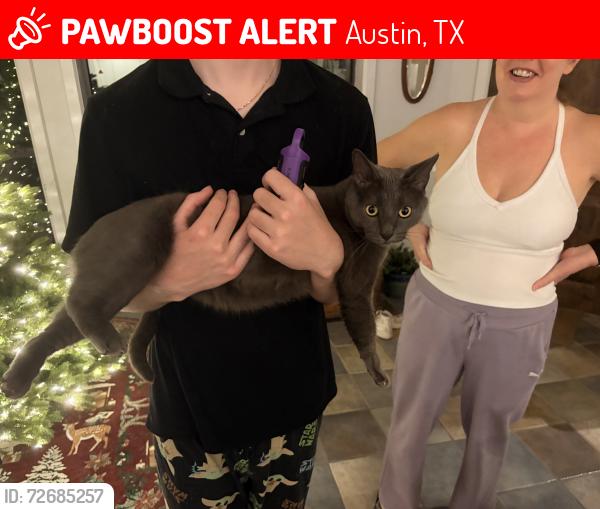 Lost Male Cat last seen Bed and biscuit dog boarding service , Austin, TX 78730