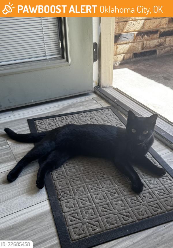 Found/Stray Female Cat last seen 112th , Oklahoma City, OK 73120