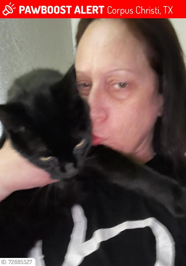 Lost Male Cat last seen Airline and Holly, Corpus Christi, TX 78412