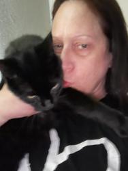Lost Male Cat last seen Airline and Holly, Corpus Christi, TX 78412