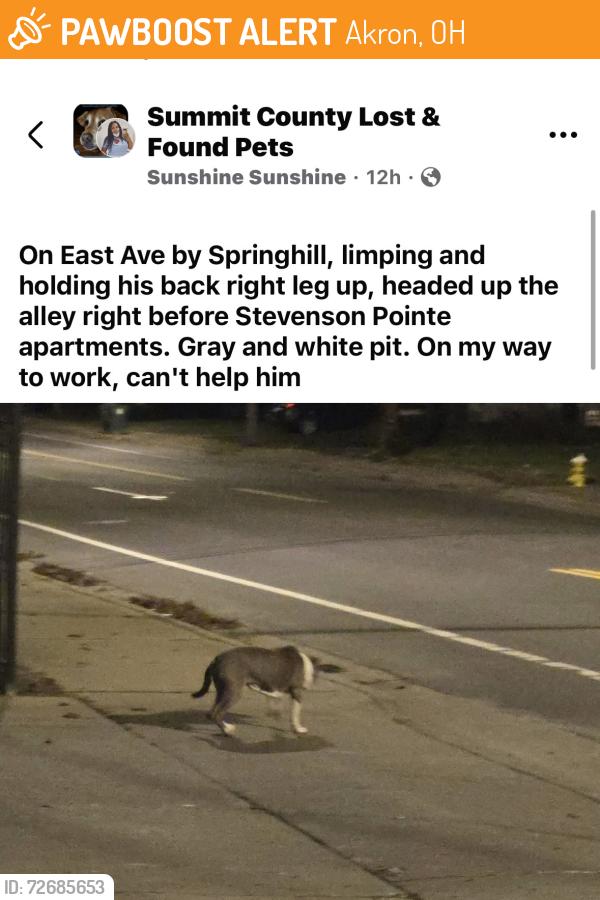 Found/Stray Unknown Dog last seen Stevenson Points apmts, Akron, OH 44307