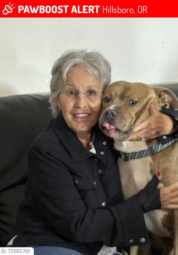 Lost Male Dog last seen Not sure, Hillsboro, OR 97124