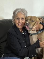 Lost Male Dog last seen Not sure, Hillsboro, OR 97124
