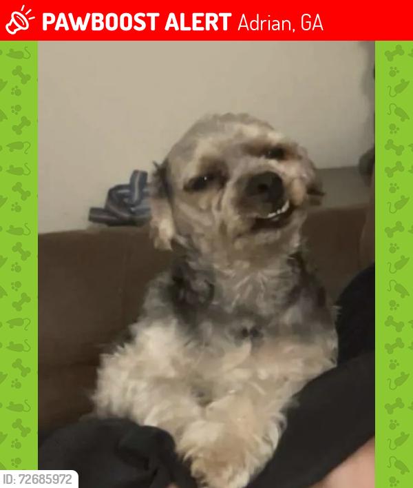 Lost Male Dog last seen Junction station Highway 121/80 crossroads, Adrian, GA 31002