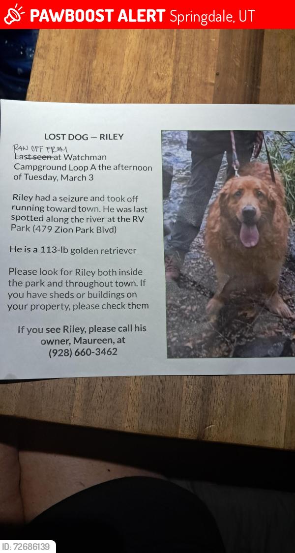 Lost Male Dog last seen Zion Canyon Campground and rv resort , Springdale, UT 84767