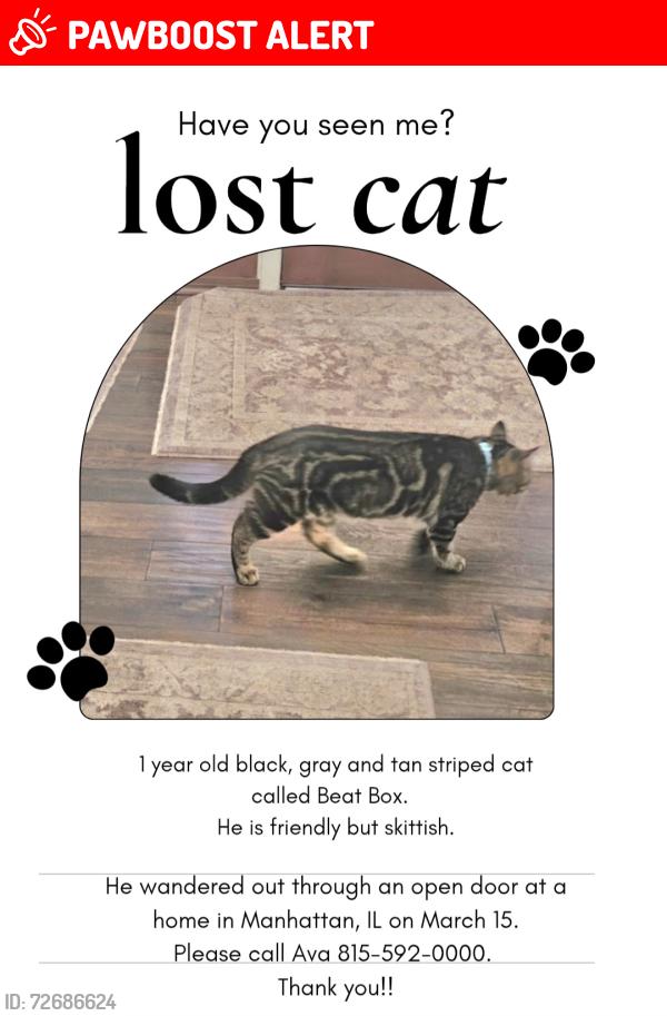 Lost Male Cat last seen BAKER RD. MANHATTAN IL, Manhattan Township, IL 60442