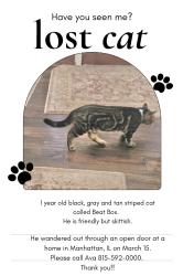 Lost Male Cat last seen BAKER RD. MANHATTAN IL, Manhattan Township, IL 60442