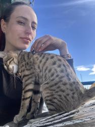 Lost Male Cat last seen At Vallejo Marina , Vallejo, CA 94590