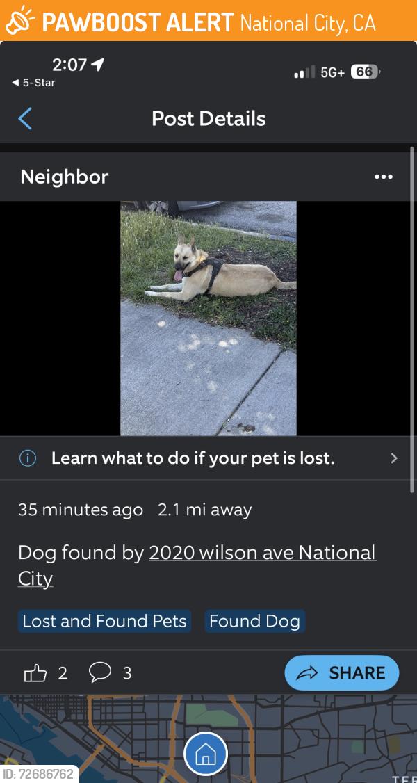 Found/Stray Unknown Dog last seen Unknown ring camera post , National City, CA 91950