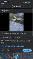 Found/Stray Unknown Dog last seen Unknown ring camera post , National City, CA 91950