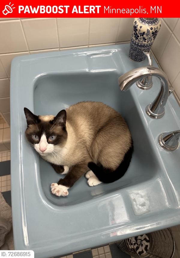 Lost Male Cat last seen Golden Valley , Minneapolis, MN 55422