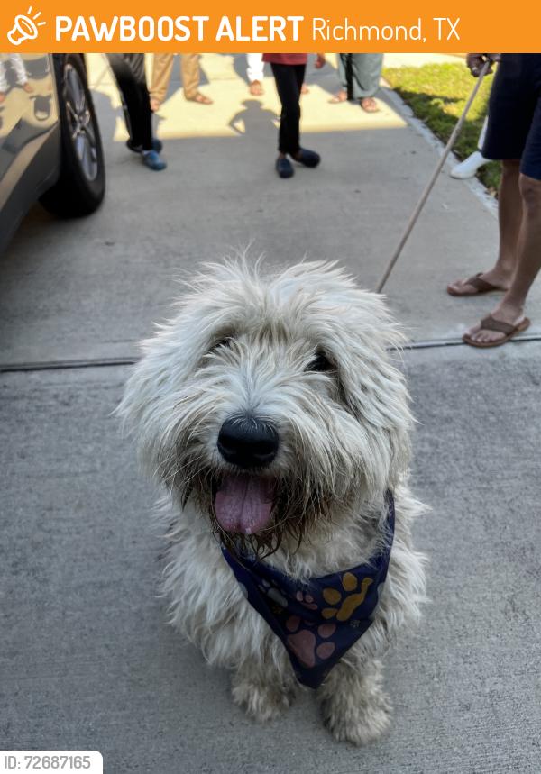 Found/Stray Female Dog last seen Near Malala Elementary, Richmond, TX 77407
