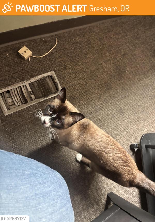Found/Stray Male Cat last seen Near SE Hogan rd , Gresham, OR 97080