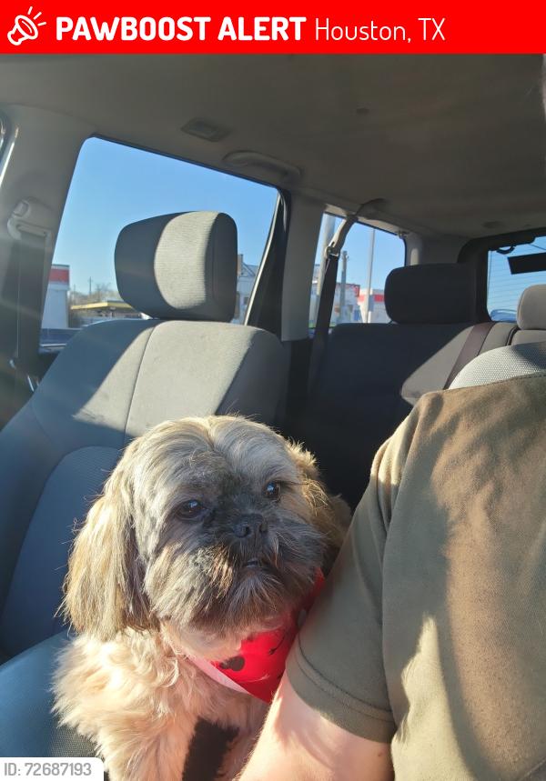 Lost Male Dog last seen keegan 77099, Houston, TX 77099