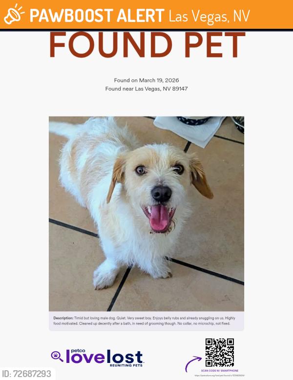 Found/Stray Male Dog last seen Endora & Sandalwood, Las Vegas, NV 89147