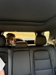 Found/Stray Female Dog last seen Hwy 221 , Spartanburg, SC 29306