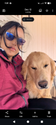 Lost Male Dog last seen El Centro ,blue topaz, grouse run dr , Doña Ana County, NM 88012