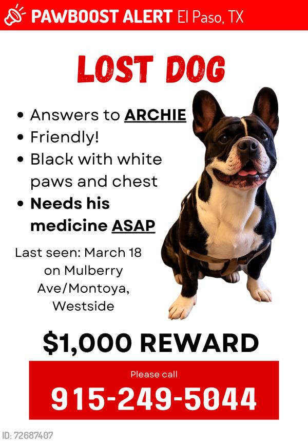 Lost Male Dog last seen Mulberry and Montoya, Westside El Paso, El Paso, TX 79932