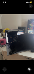 Lost Male Cat last seen Near Gannon Dr , Sacramento, CA 95825
