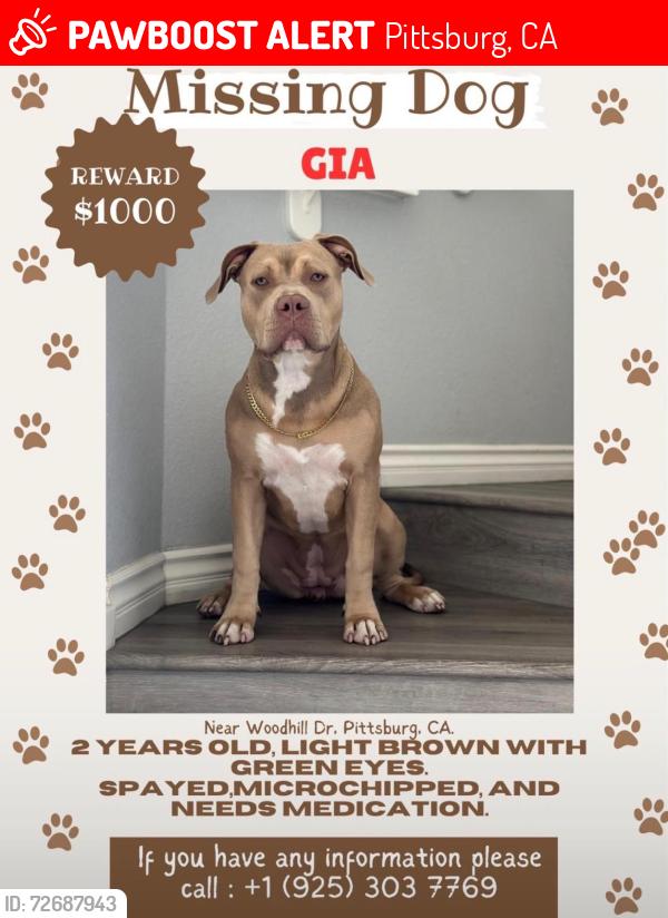 Lost Female Dog last seen Woodhill r, Pittsburg, CA 94565