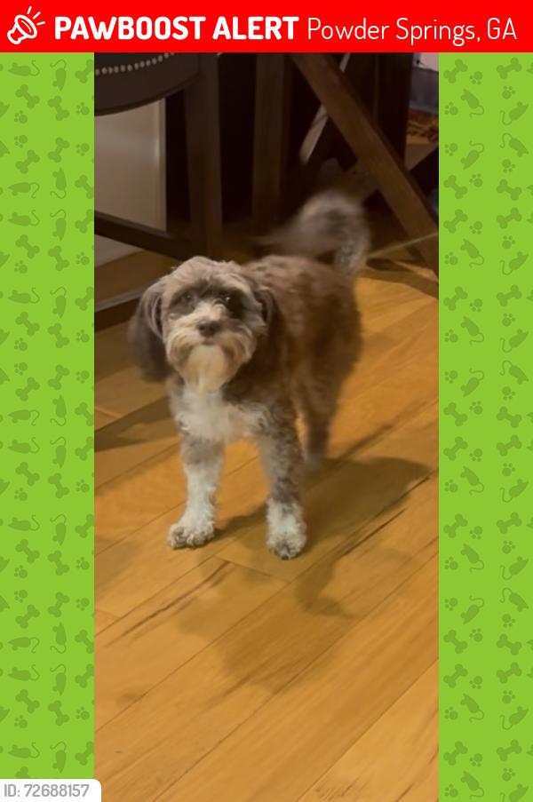 Lost Male Dog last seen By oakleigh neighborhood 4816 Hopeton drive , Powder Springs, GA 30127