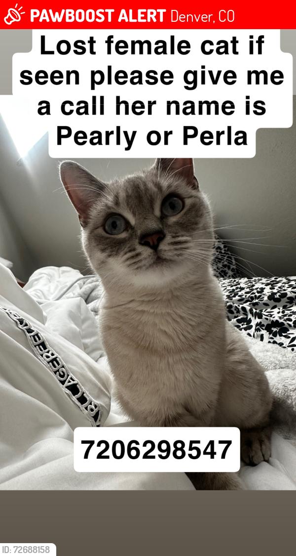 Lost Female Cat last seen S Birch and E Mississippi , Denver, CO 80246