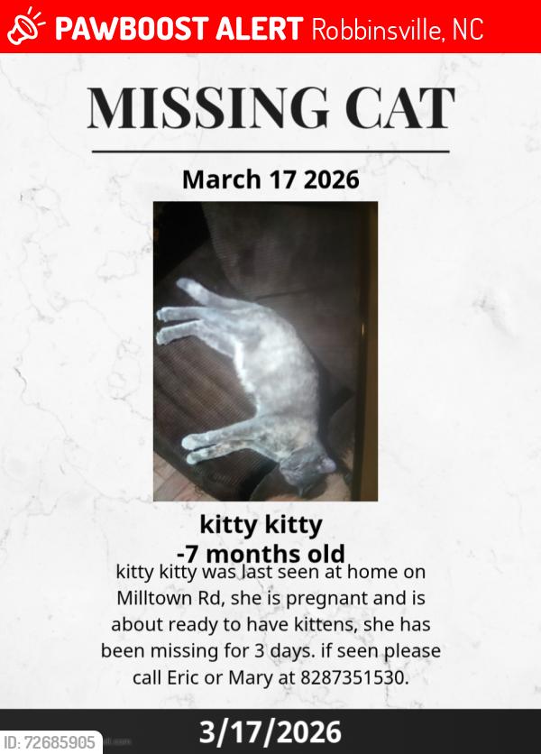 Lost Female Cat last seen Near milltown Rd Robbinsville North Carolina , Robbinsville, NC 28771