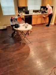 Lost Female Cat last seen Perris boulevard, Moreno Valley, CA 92557