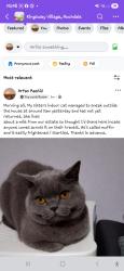 Lost Male Cat last seen Hereford street , Greater Manchester, England OL11