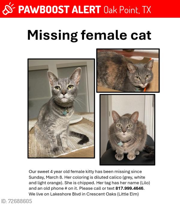 Lost Female Cat last seen Near Lakeshore Blvd, Oak Point, TX 75068