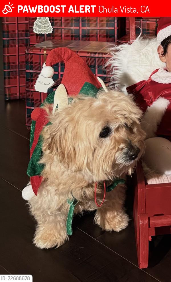Lost Male Dog last seen Heritage Park , Chula Vista, CA 91913