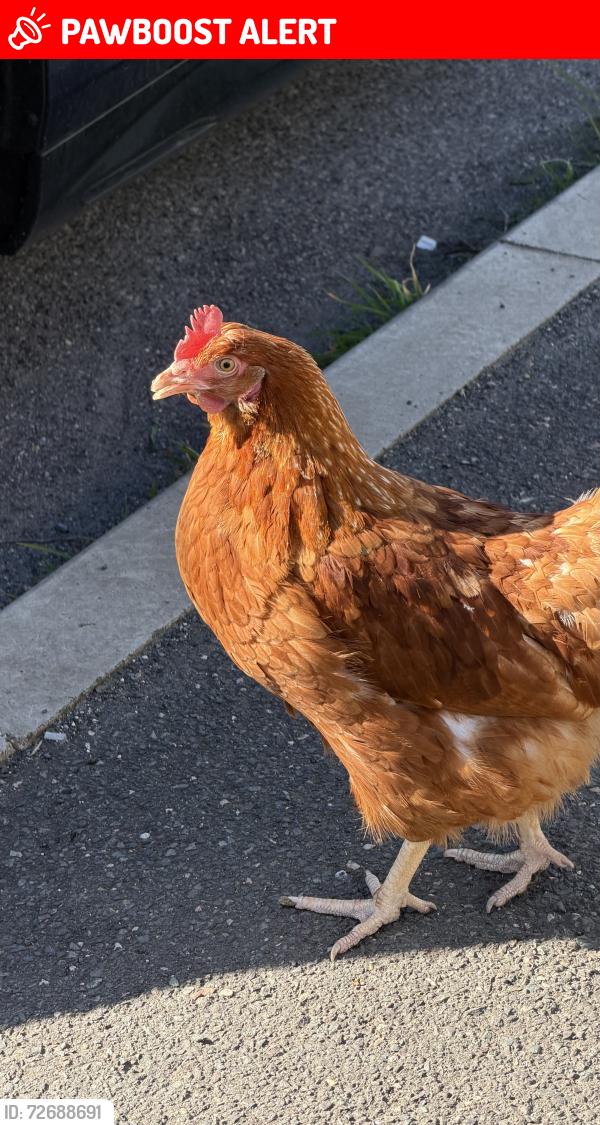 Lost Female Other last seen Peterborough railway station, Peterborough, England PE1 1QL