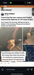 Found/Stray Male Dog last seen Narvaez ave and capitol expressway highways, San Jose, CA 95136