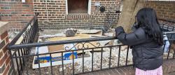 Found/Stray Unknown Cat last seen Bay Ridge Ave & 68th street, Brooklyn, NY 11220