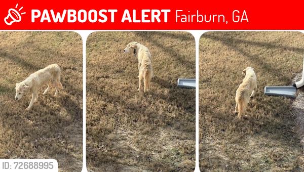 Lost Male Dog last seen Clark Road and Bluewater Dr, Fairburn, GA 30213