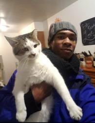 Lost Female Cat last seen Owen’s Ave/ W Stewart Ave, Lansdowne, PA 19050