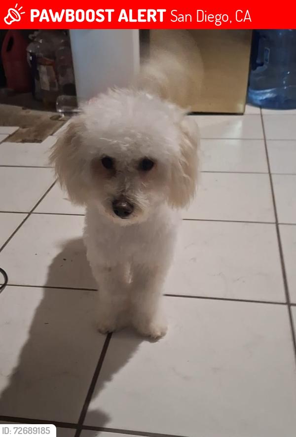 Lost Male Dog last seen Gribble, San Diego, CA 92114