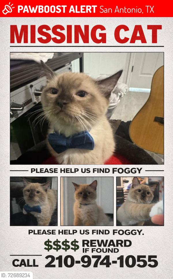 Lost Male Cat last seen Bellcrest Drive , San Antonio, TX 78217
