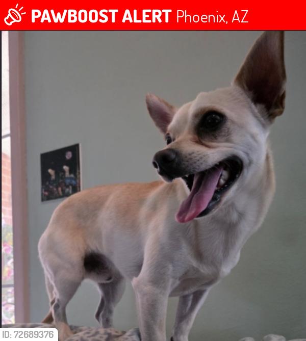 Lost Male Dog last seen Near E Almeria Rd, Phoenix, AZ 85006