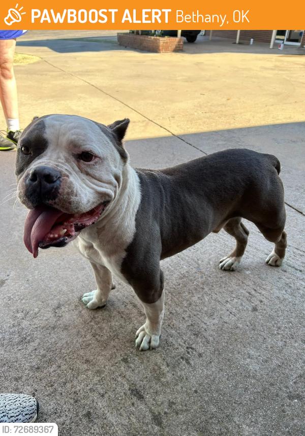 Found/Stray Male Dog last seen Near East Overholser Dr., Bethany, OK 73008