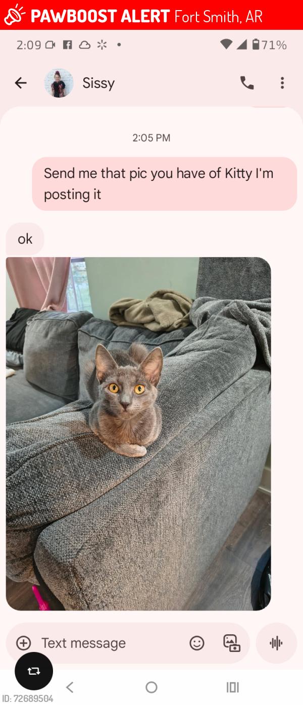 Lost Female Cat last seen South 16th and p street, Fort Smith, AR 72901