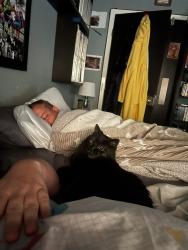 Lost Male Cat last seen Hampden and Uravan, Aurora, CO 80013