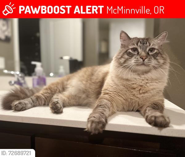 Lost Male Cat last seen NW Hill, NW 23rd St, McMinnville, OR 97128